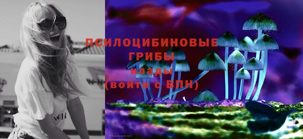 ПСИЛОЦИБИНОВЫЕ ГРИБЫ Абаза