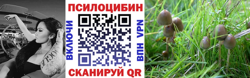 KRAKEN tor  Чекалин  Галлюциногенные грибы Cubensis  где можно купить наркотик 